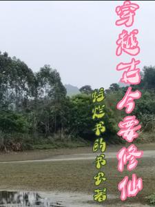 沈无求