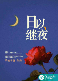 日以继夜小说